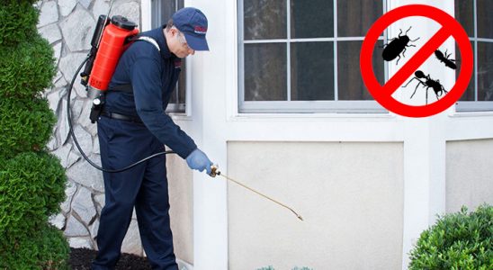 Küçükçekmece Böcek İlaçlama böcek ilaçlama ve haşere kontrolü — ilaclama-tr.com